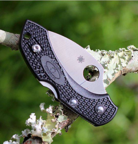 Складной нож Spyderco Dragonfly 2 Wharncliffe C28FPWCBK2 фото 9