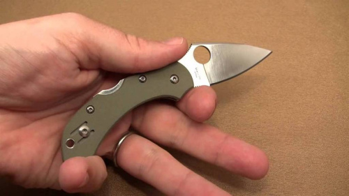 Складной нож Spyderco Dragonfly 2 Foliage Green - C28GPFG фото 17