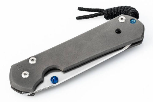 Складной нож Chris Reeve Large Sebenza 21 Insingo фото 5